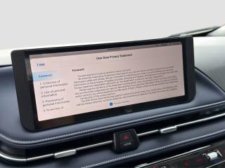 MAXUS Other usata 13