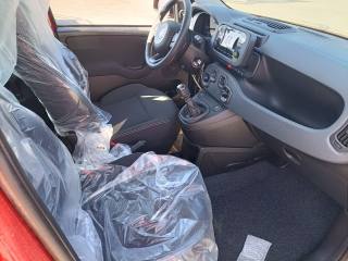 FIAT Panda usata, con ESP