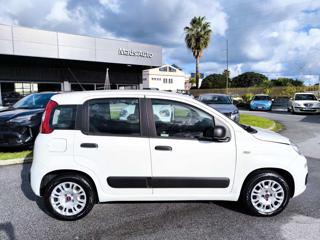 FIAT Panda usata, con Airbag Passeggero