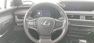 LEXUS UX 250h usata, con Riconoscimento dei segnali stradali