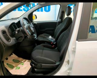 FIAT New Panda usata 13