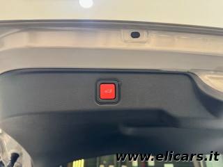 FIAT 600 usata, con Bracciolo