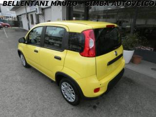 FIAT Panda usata, con Chiusura centralizzata