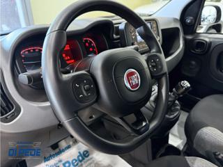 FIAT Panda usata, con Airbag testa