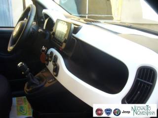FIAT Panda Cross usata, con Airbag testa