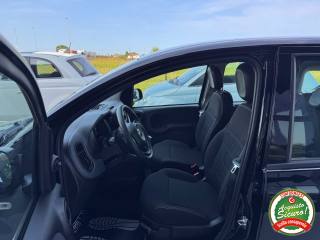 FIAT Panda usata, con ESP
