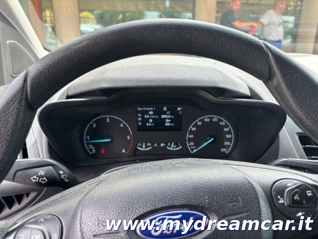 FORD Transit Connect usata, con Autoradio digitale