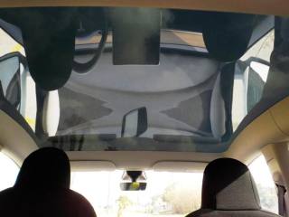 TESLA Model Y usata, con Luci diurne