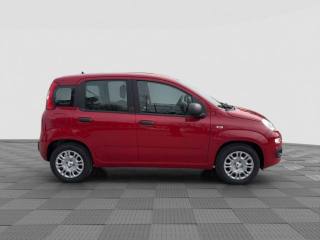 FIAT Panda usata 5