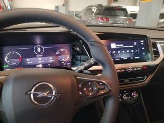 OPEL Grandland usata, con Airbag testa