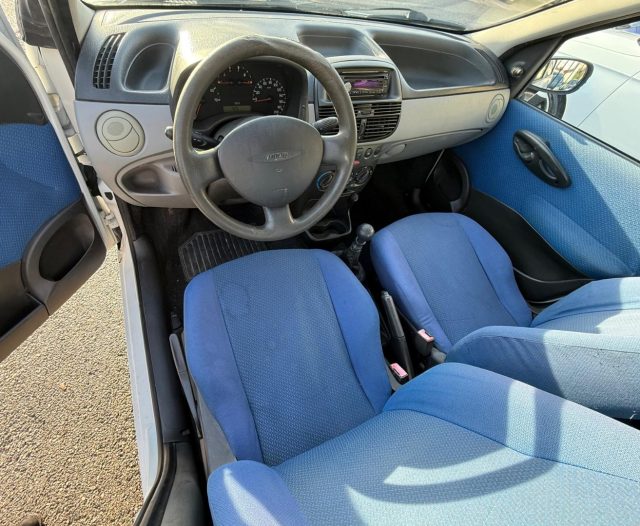 FIAT Punto usata 11