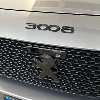 PEUGEOT 3008 usata, con MP3