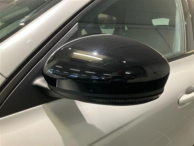 RENAULT Arkana usata, con Fari LED