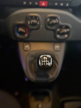 FIAT Pandina usata 2