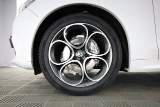 ALFA ROMEO Stelvio usata 8