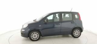 FIAT Panda usata, con Airbag Passeggero