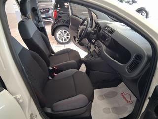 FIAT Panda usata 15