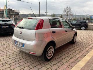 FIAT Punto usata, con Airbag Passeggero
