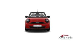 MINI Cabrio usata 7