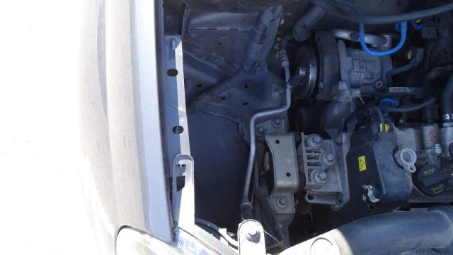 FIAT Punto usata 116