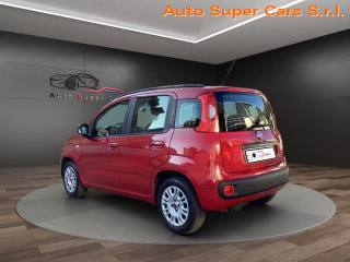 FIAT Panda usata, con Airbag Passeggero