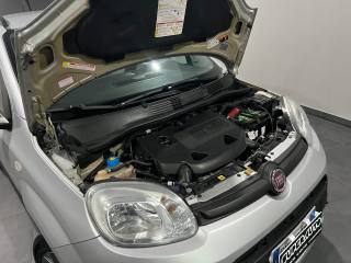 FIAT Panda usata, con Volante in pelle