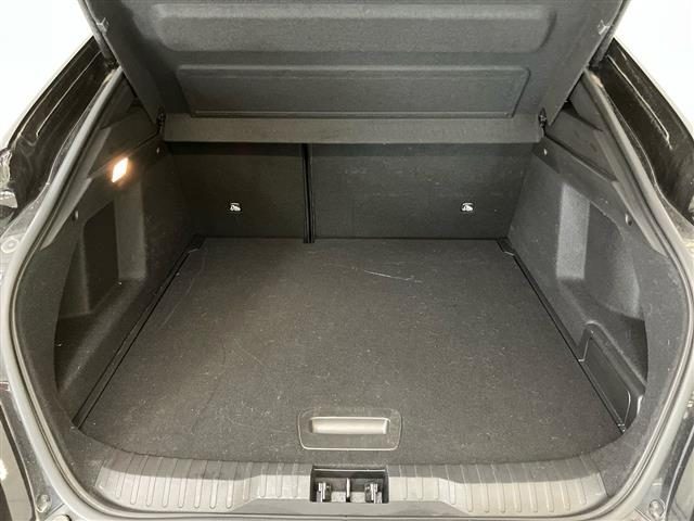 RENAULT Arkana usata, con Bracciolo