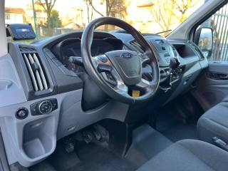 FORD Transit usata, con Fendinebbia