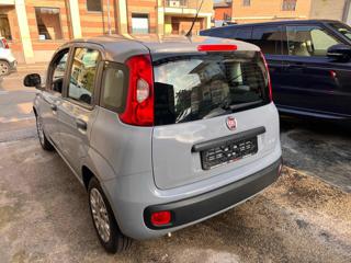 FIAT Panda usata, con Chiusura centralizzata
