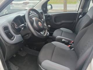 FIAT Panda usata 13