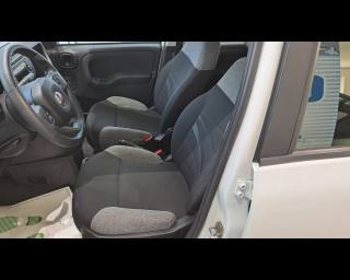 FIAT New Panda usata, con Kit antipanne