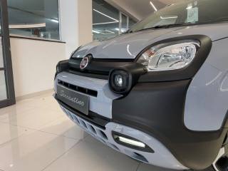 FIAT Panda usata, con Climatizzatore