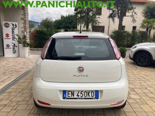 FIAT Punto usata, con Climatizzatore