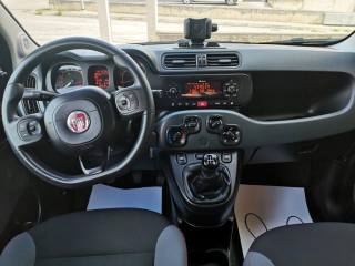 FIAT Panda usata, con USB