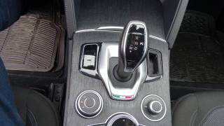 ALFA ROMEO Stelvio usata 113