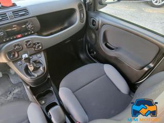 FIAT Panda usata 22