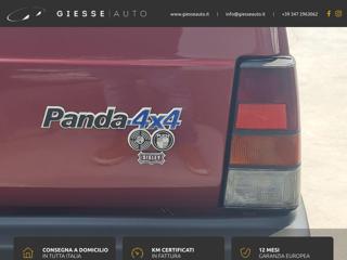 FIAT Panda usata 3