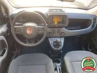 FIAT Panda usata, con Climatizzatore