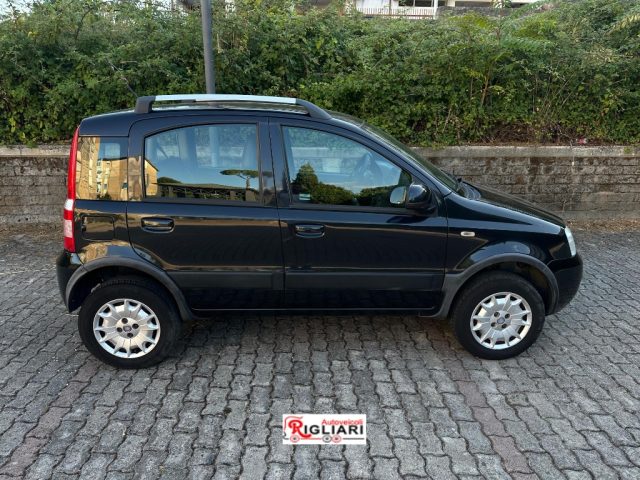 FIAT Panda usata 13