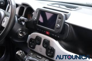 FIAT Panda usata 49
