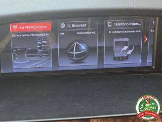 BMW 530 usata, con Fendinebbia