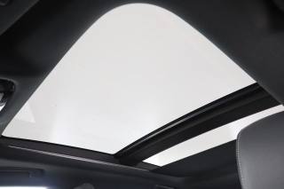 LEXUS RX 450h usata 14