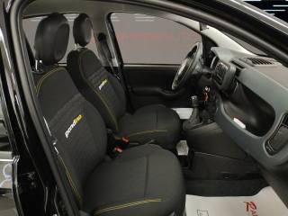 FIAT Panda usata 14