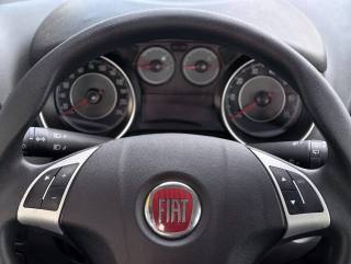 FIAT Punto usata, con Controllo trazione