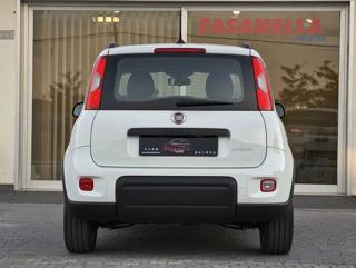FIAT Panda usata, con Climatizzatore