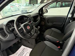 FIAT Panda usata, con Servosterzo