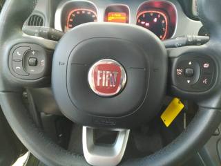 FIAT Panda Cross usata, con Controllo trazione