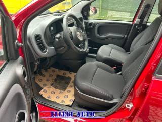 FIAT Panda usata, con Servosterzo