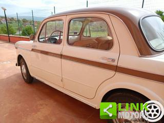 FIAT 1100 usata 10