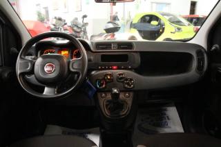 FIAT Panda usata, con Cronologia tagliandi